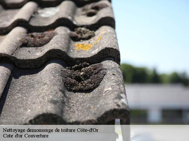 Nettoyage demoussage de toiture Côte-d'Or 