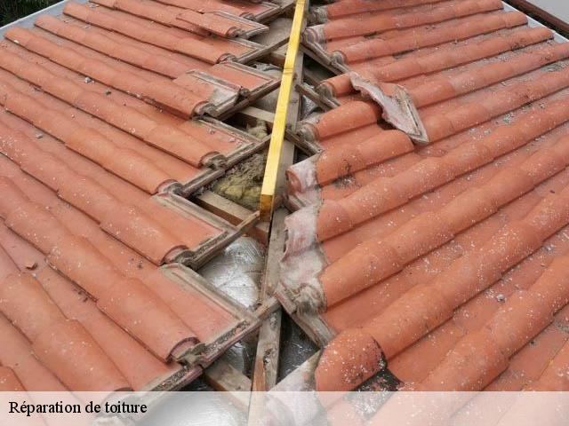 Réparation de toiture Côte-d'Or 