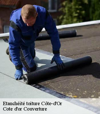 Etanchéité toiture 21 Côte-d'Or Moise