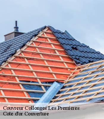 Couvreur  collonges-les-premieres-21110 Cote d'or Couverture