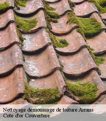 Nettoyage demoussage de toiture  arrans-21500 Cote d'or Couverture