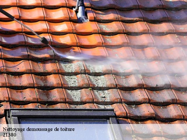Nettoyage demoussage de toiture 21380