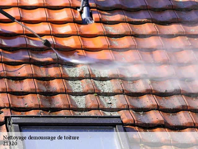 Nettoyage demoussage de toiture 21320