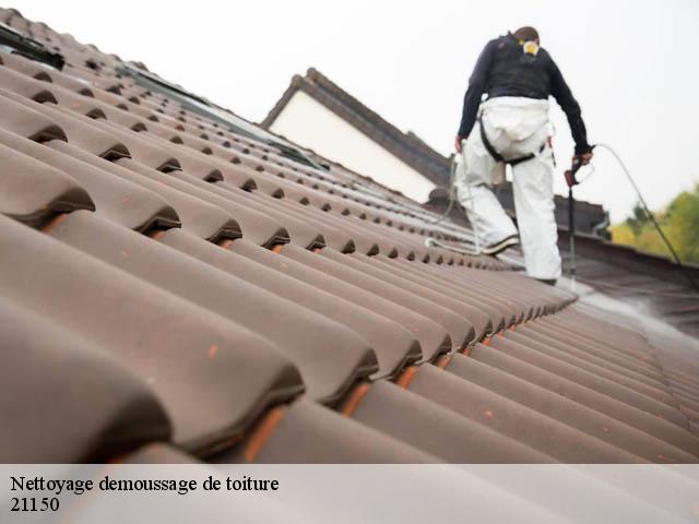 Nettoyage demoussage de toiture 21150