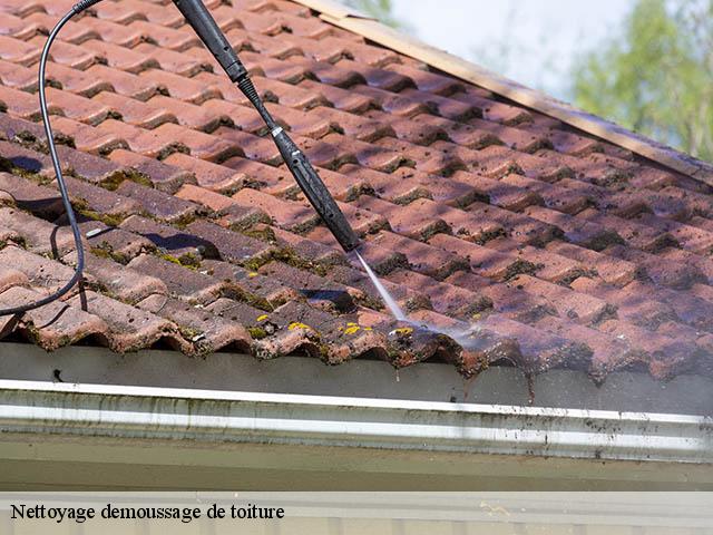 Nettoyage demoussage de toiture 21150