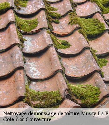 Nettoyage demoussage de toiture mussy-la-fosse-21150 Cote d'or Couverture