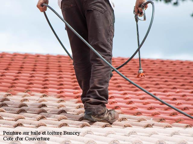 Peinture sur tuile et toiture buncey-21400 Moise