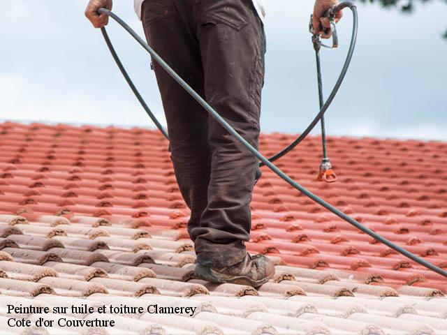Peinture sur tuile et toiture clamerey-21390 Cote d'or Couverture