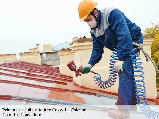Peinture sur tuile et toiture 21360