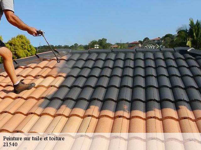 Peinture sur tuile 21540