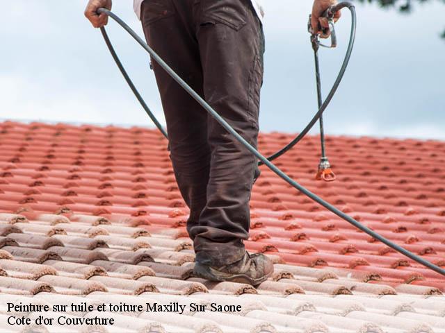 Peinture sur tuile et toiture maxilly-sur-saone-21270 Cote d'or Couverture