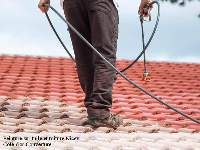 Peinture sur tuile et toiture nicey-21330 Moise