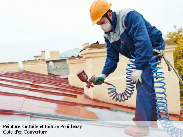 Peinture sur tuile et toiture 21150