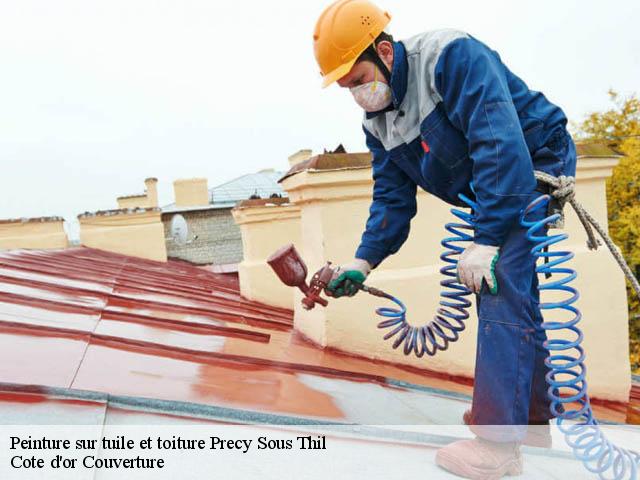 Peinture sur tuile et toiture 21390