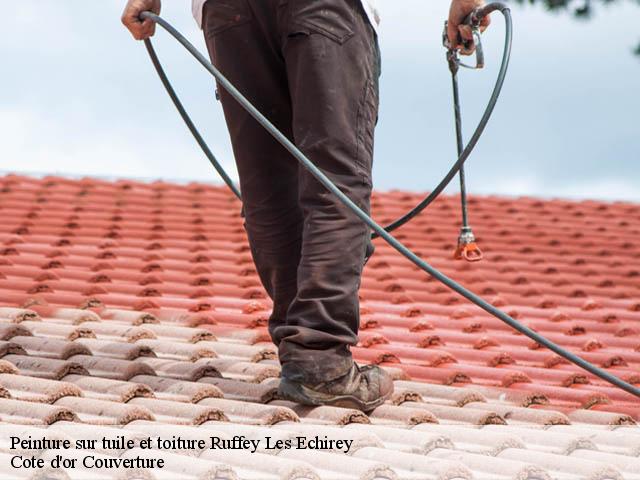 Peinture sur tuile et toiture ruffey-les-echirey-21490 Cote d'or Couverture