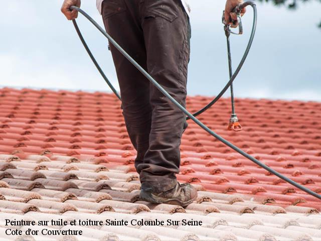 Peinture sur tuile et toiture sainte-colombe-sur-seine-21400 Moise