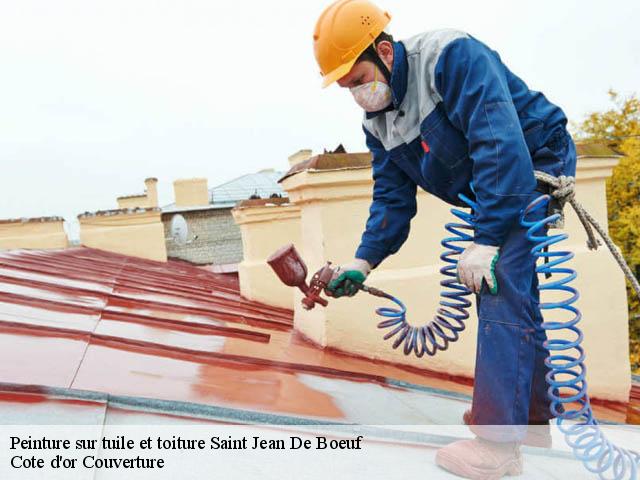 Peinture sur tuile et toiture 21410