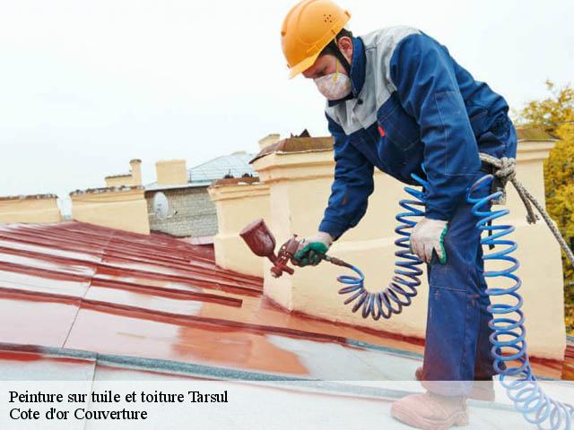 Peinture sur tuile et toiture 21120