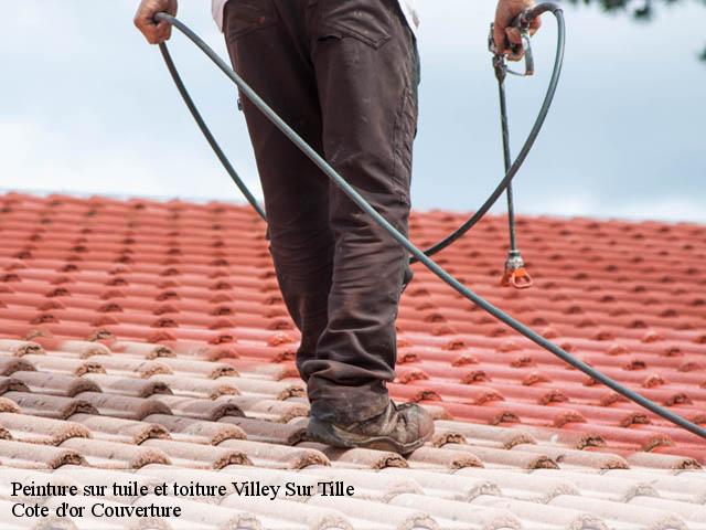 Peinture sur tuile et toiture villey-sur-tille-21120 Moise
