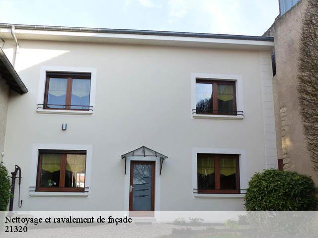 Nettoyage et ravalement de façade 21320