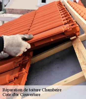 Réparation de toiture  chambeire-21110 Cote d'or Couverture