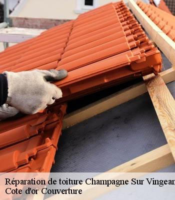 Réparation de toiture  champagne-sur-vingeanne-21310 Moise