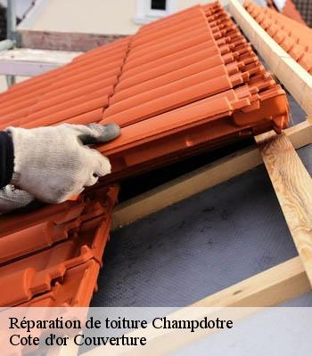 Réparation de toiture  champdotre-21130 Cote d'or Couverture