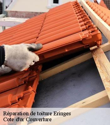 Réparation de toiture eringes-21500 Cote d'or Couverture