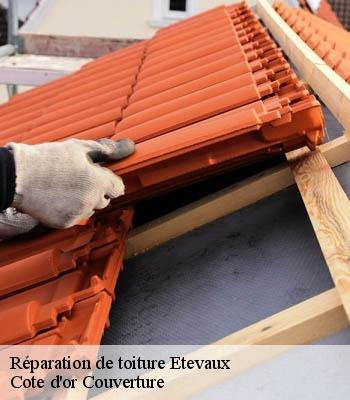 Réparation de toiture  etevaux-21270 Moise