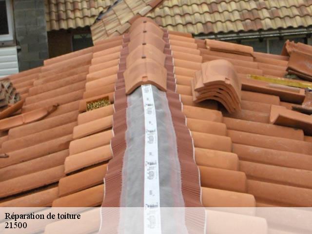 Réparation de toiture 21500