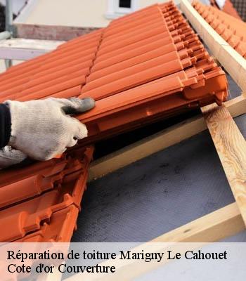 Réparation de toiture marigny-le-cahouet-21150 Cote d'or Couverture