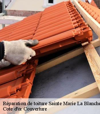 Réparation de toiture sainte-marie-la-blanche-21200 Cote d'or Couverture