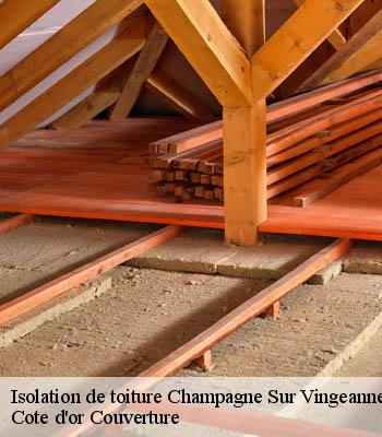 Isolation de toiture  champagne-sur-vingeanne-21310 Cote d'or Couverture