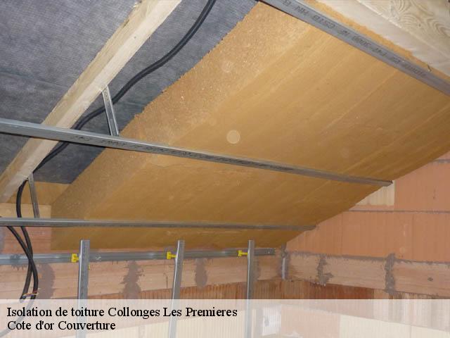 Isolation de toiture 21110