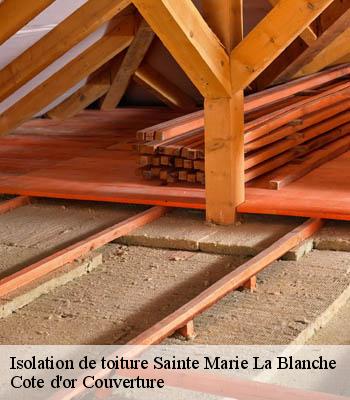 Isolation de toiture sainte-marie-la-blanche-21200 Cote d'or Couverture
