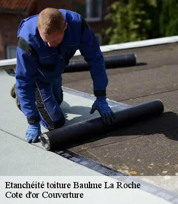 Etanchéité toiture  baulme-la-roche-21410 Cote d'or Couverture