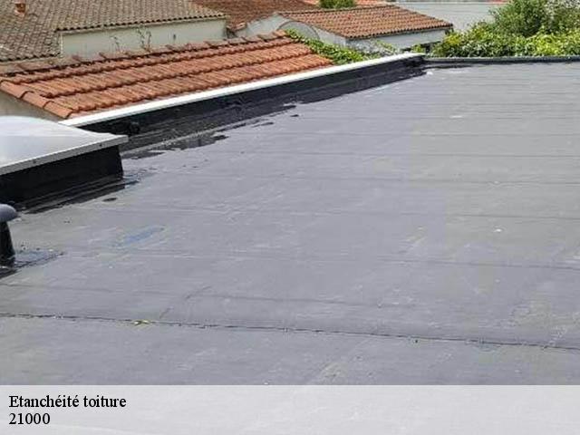 Etanchéité toiture 21000