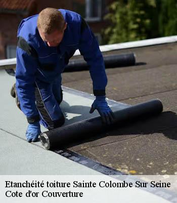 Etanchéité toiture  sainte-colombe-sur-seine-21400 Cote d'or Couverture